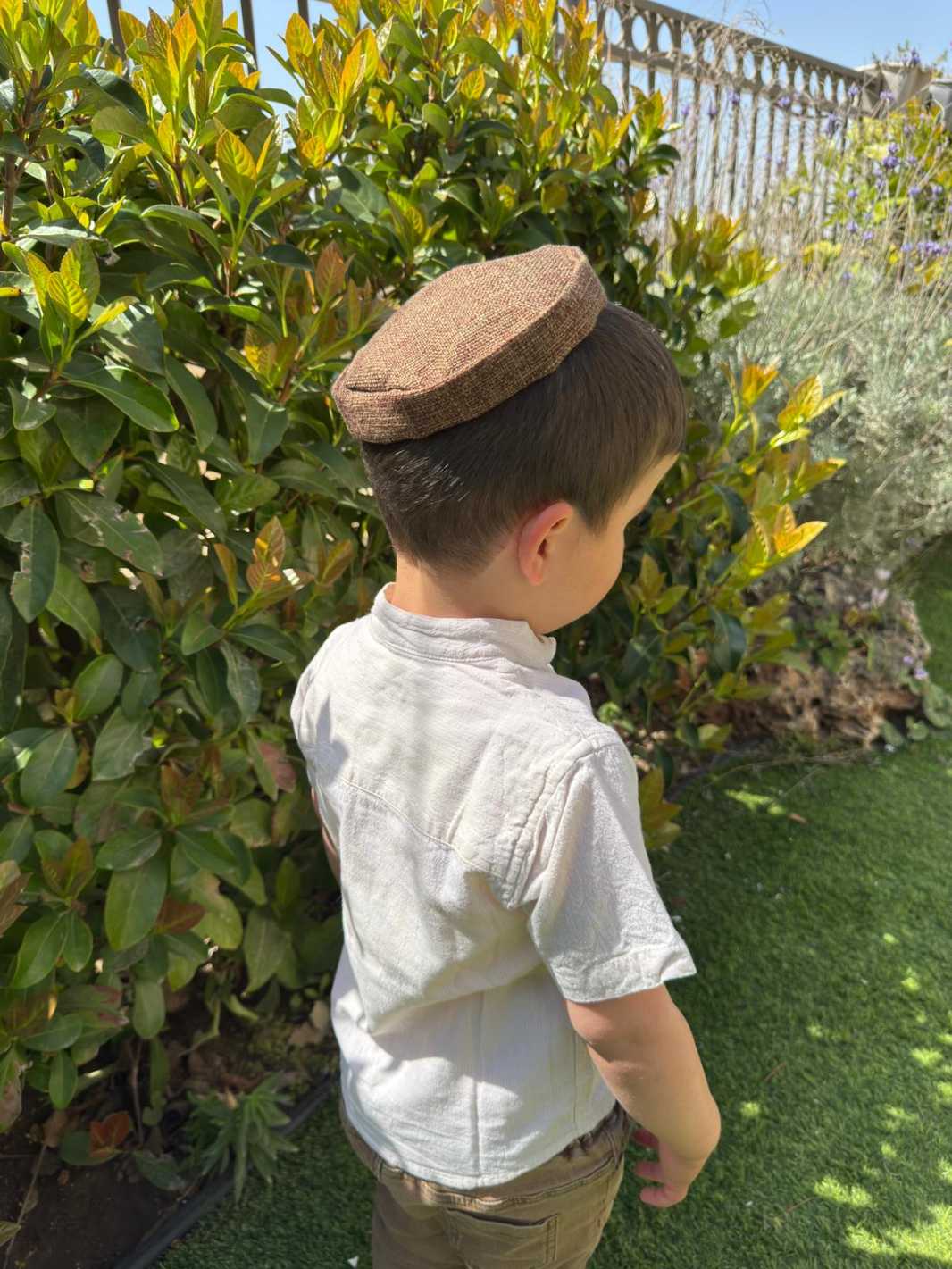 כיפת ילדים חום
