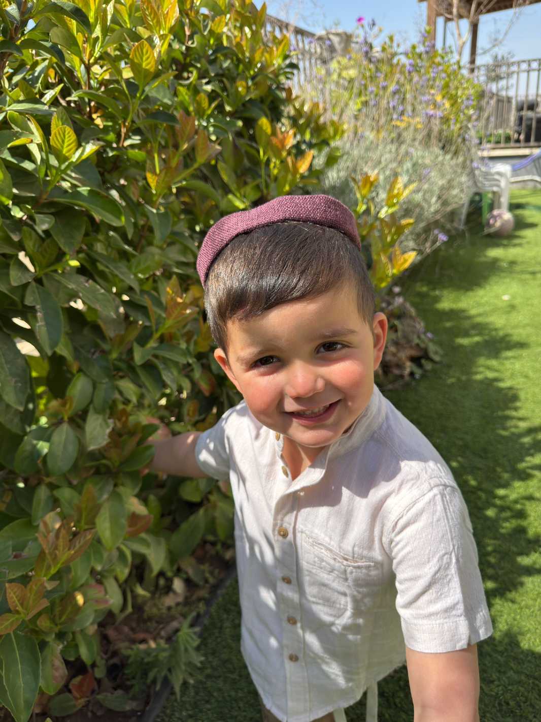 כיפת ילדים בורדו